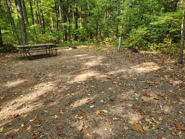 Site 41, photo 3 of 3 · from wisconsin.goingtocamp.com (the park's booking system)