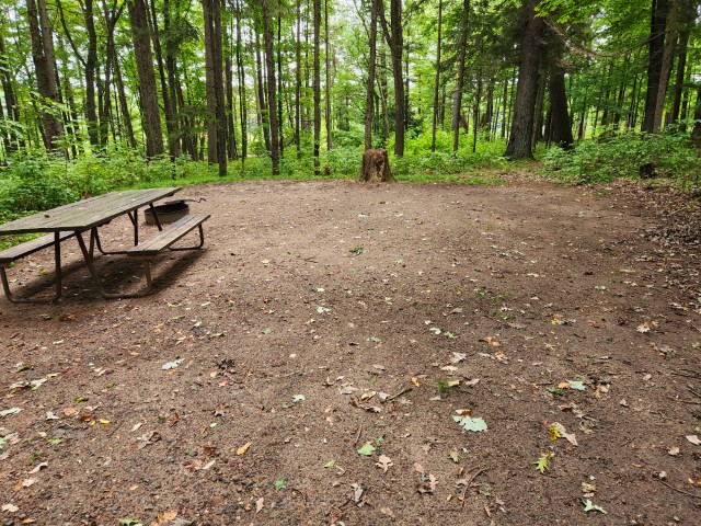 Site 38, photo 3 of 3 · from wisconsin.goingtocamp.com (the park's booking system)