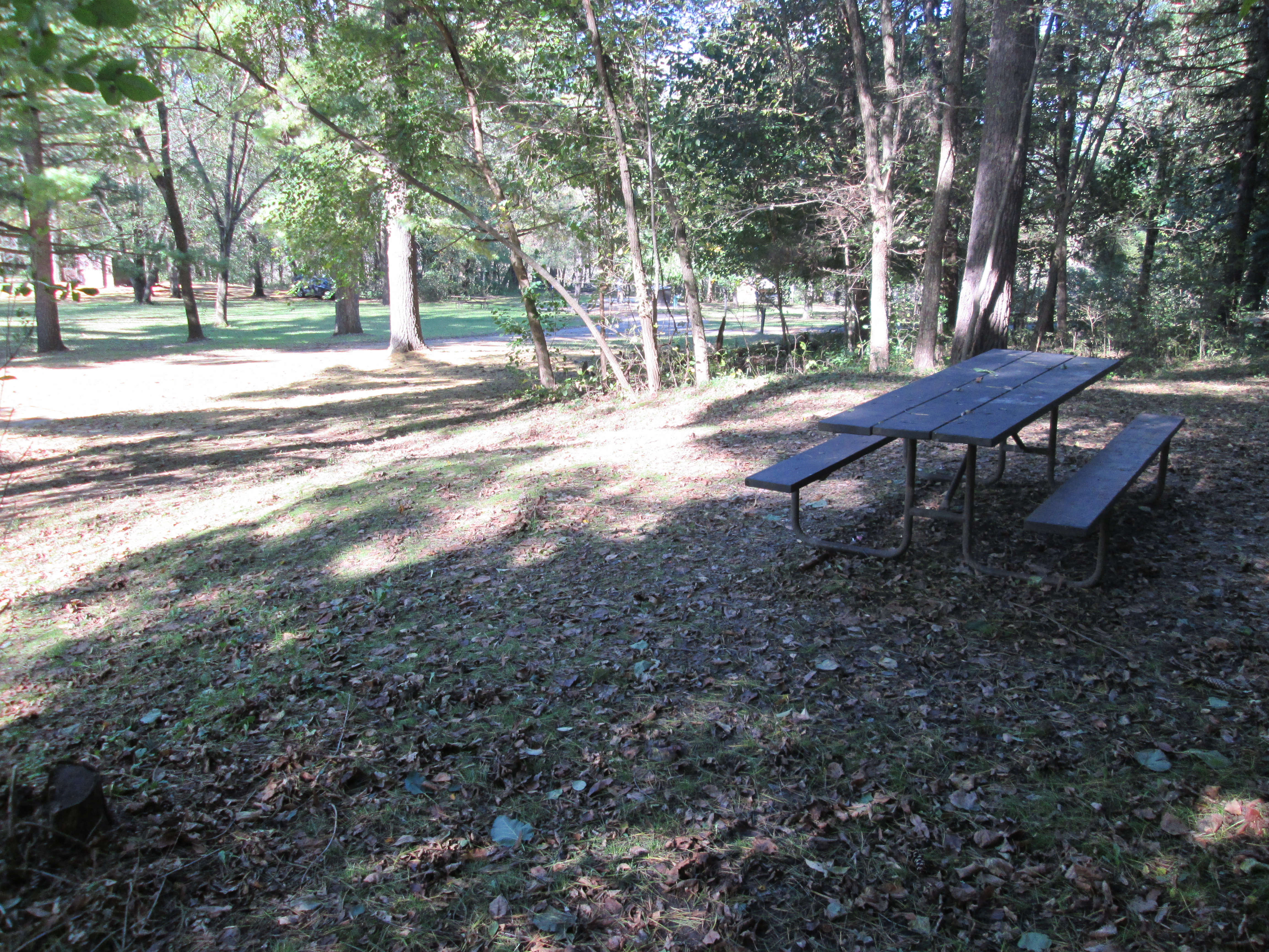 Site 10, photo 3 of 4 · from wisconsin.goingtocamp.com (the park's booking system)