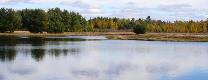Black River State Forest