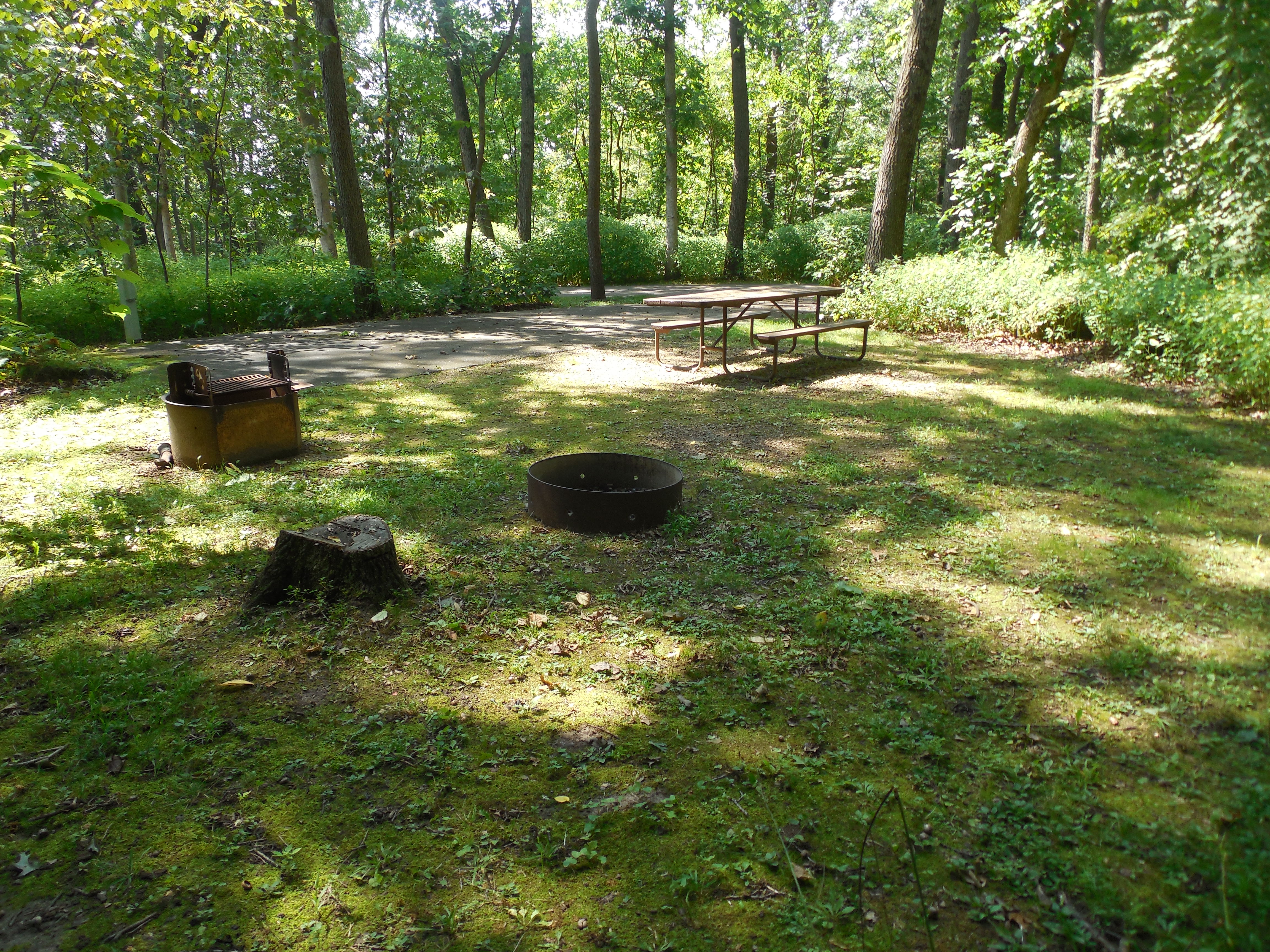 Site 12, photo 3 of 3 · from wisconsin.goingtocamp.com (the park's booking system)