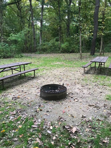 Site 74, photo 2 of 3 · from wisconsin.goingtocamp.com (the park's booking system)