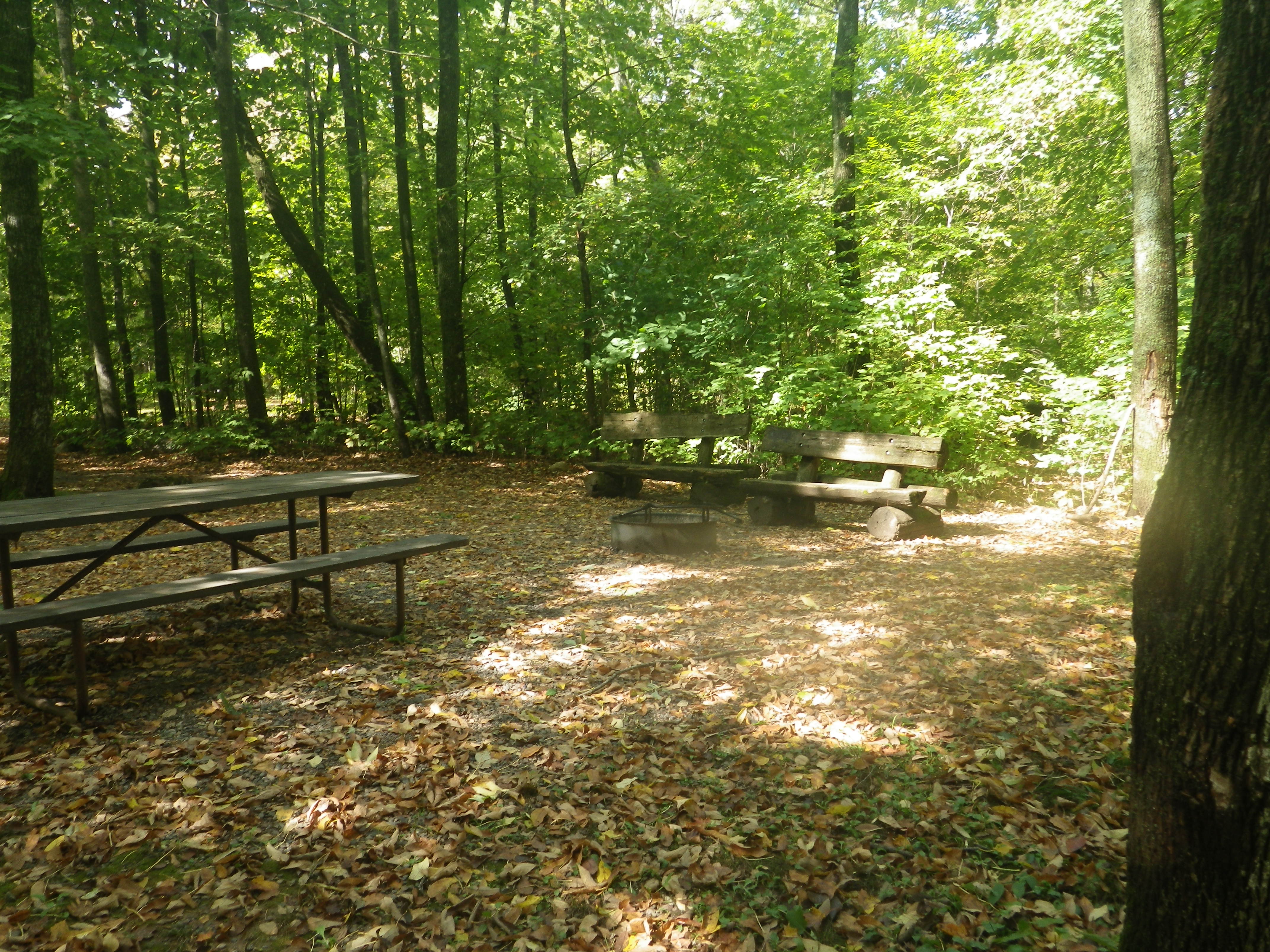 Site 117, photo 3 of 3 · from wisconsin.goingtocamp.com (the park's booking system)