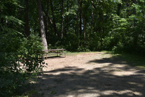 Site 29, photo 2 of 5 · from wisconsin.goingtocamp.com (the park's booking system)