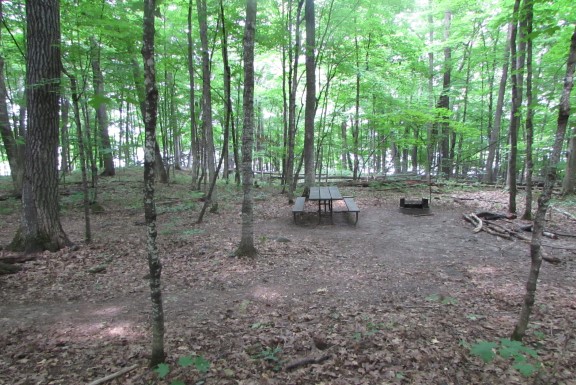 Site 8, photo 3 of 4 · from wisconsin.goingtocamp.com (the park's booking system)