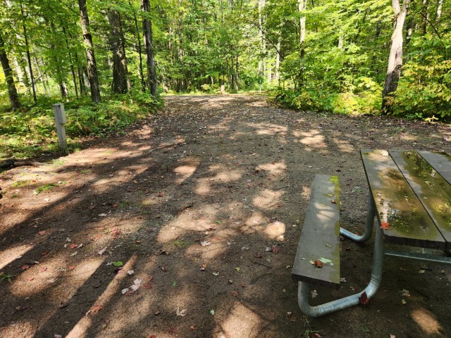 Site 3, photo 2 of 3 · from wisconsin.goingtocamp.com (the park's booking system)