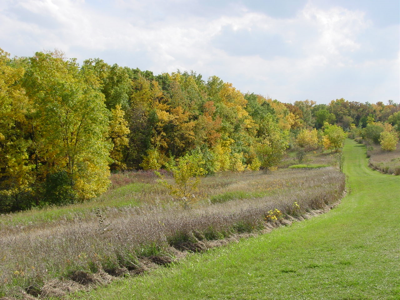 Governor Nelson State Park