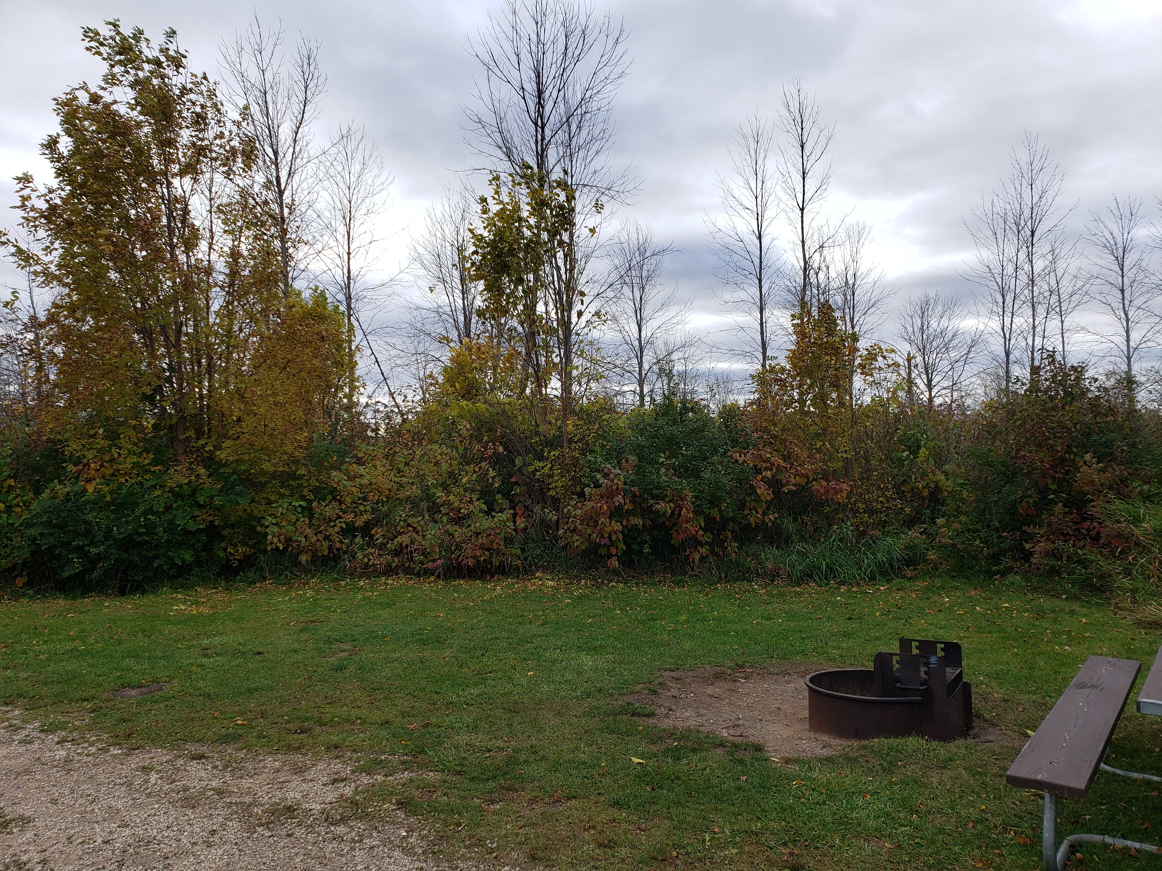 Site 207, photo 2 of 3 · from wisconsin.goingtocamp.com (the park's booking system)
