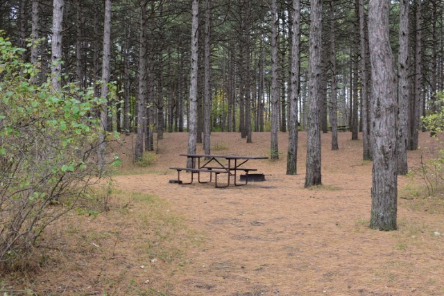 Site 46, photo 2 of 2 · from wisconsin.goingtocamp.com (the park's booking system)