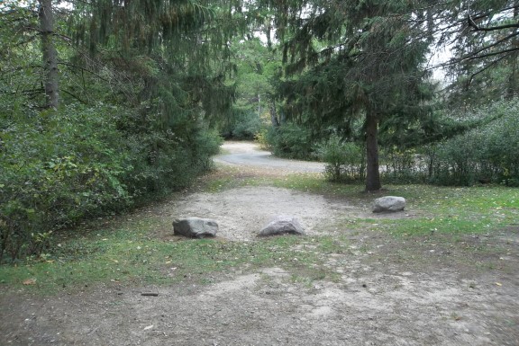 Site 309, photo 3 of 4 · from wisconsin.goingtocamp.com (the park's booking system)