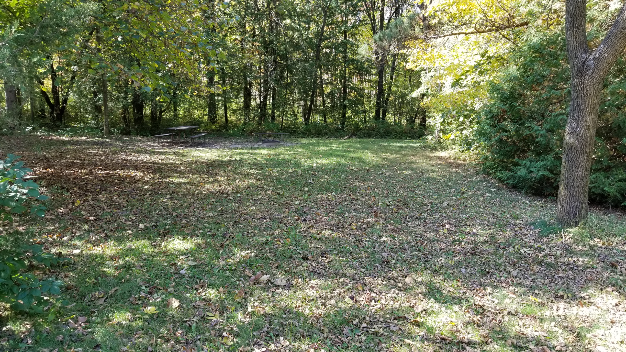 Site 18, photo 2 of 4 · from wisconsin.goingtocamp.com (the park's booking system)