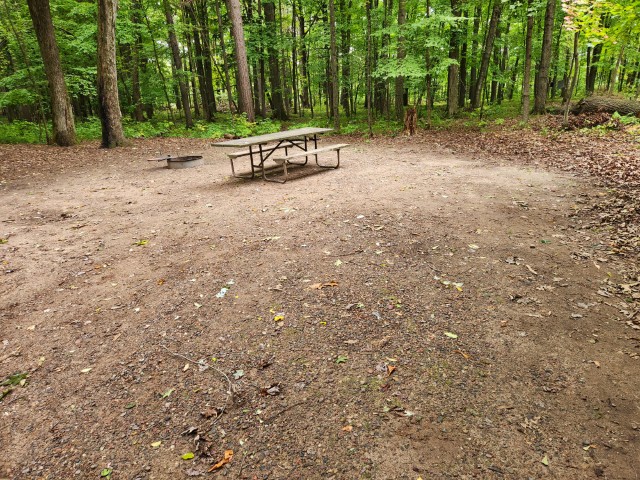 Site 49, photo 3 of 3 · from wisconsin.goingtocamp.com (the park's booking system)