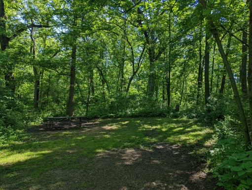 Site 13, photo 3 of 3 · from wisconsin.goingtocamp.com (the park's booking system)