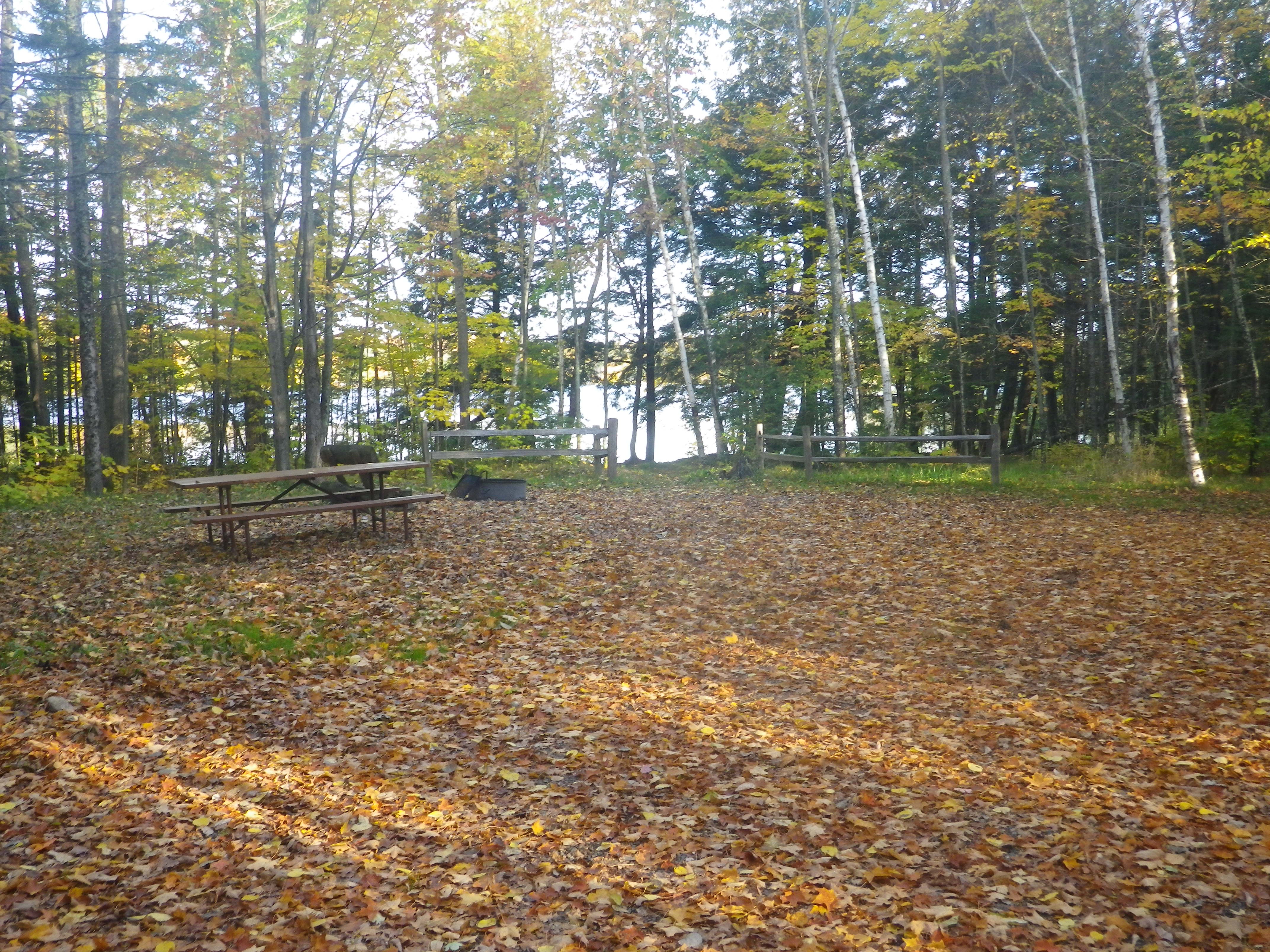 Site 11, photo 2 of 3 · from wisconsin.goingtocamp.com (the park's booking system)