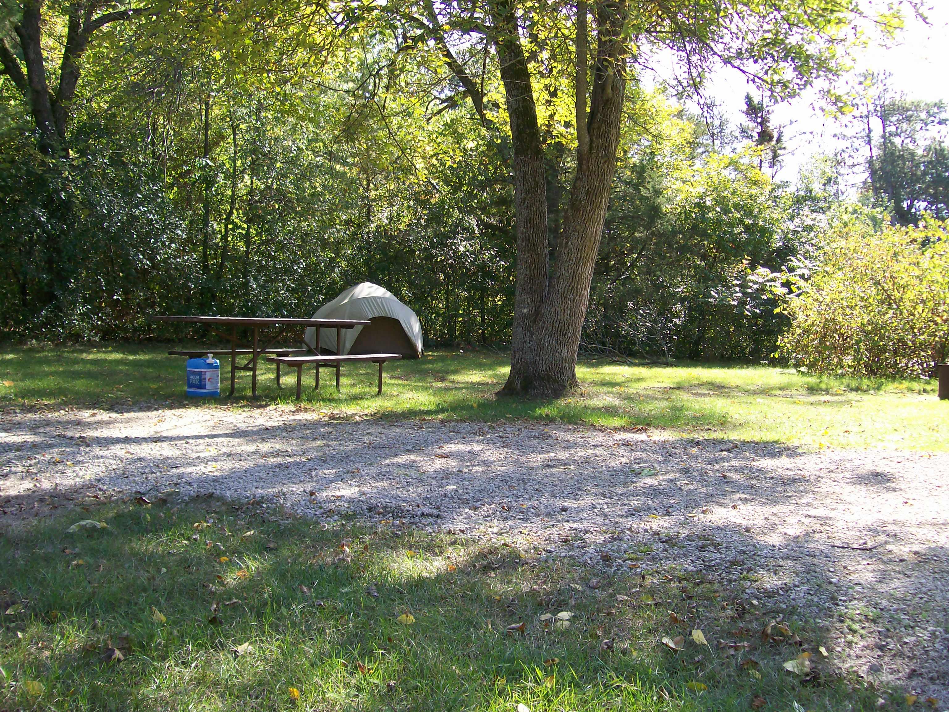 Site 1, photo 2 of 2 · from wisconsin.goingtocamp.com (the park's booking system)