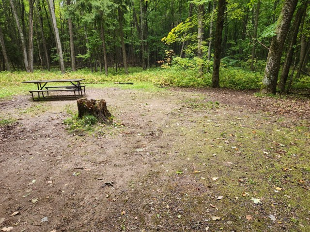 Site 14, photo 3 of 3 · from wisconsin.goingtocamp.com (the park's booking system)