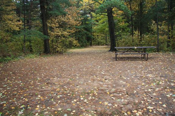Site 477, photo 2 of 2 · from wisconsin.goingtocamp.com (the park's booking system)