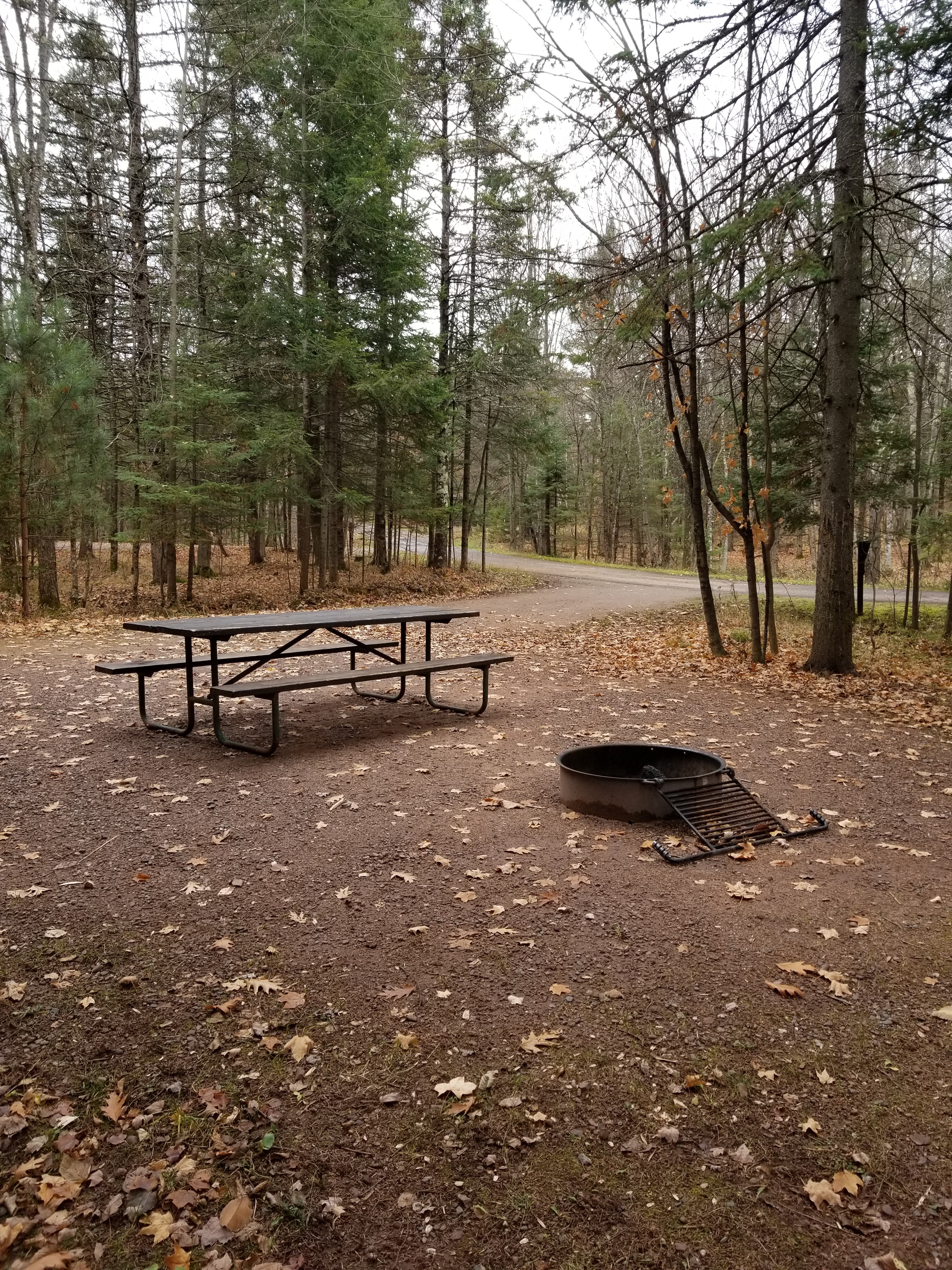 Site 31, photo 3 of 4 · from wisconsin.goingtocamp.com (the park's booking system)
