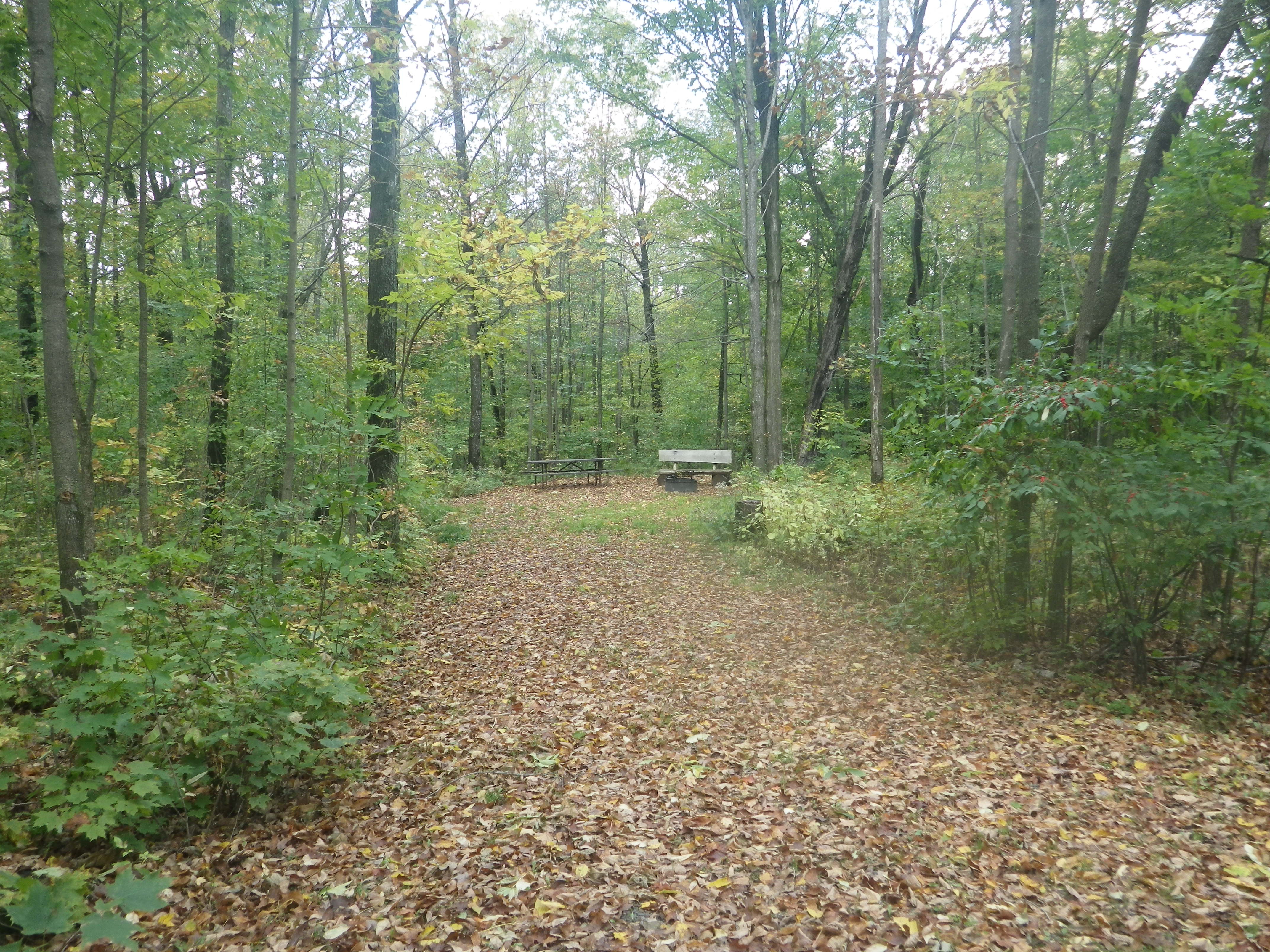 Site 129, photo 2 of 3 · from wisconsin.goingtocamp.com (the park's booking system)