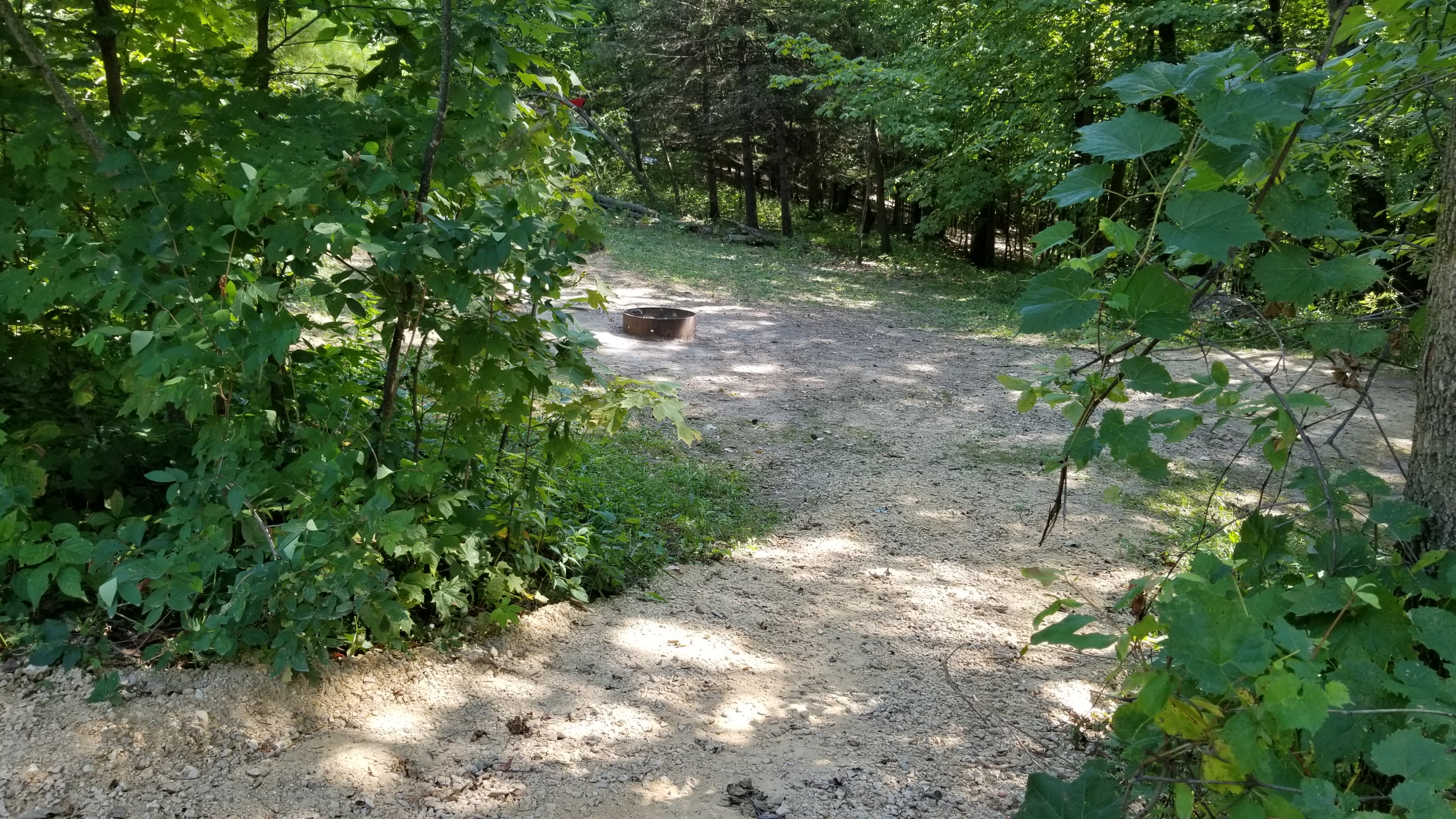 Site 4, photo 2 of 3 · from wisconsin.goingtocamp.com (the park's booking system)