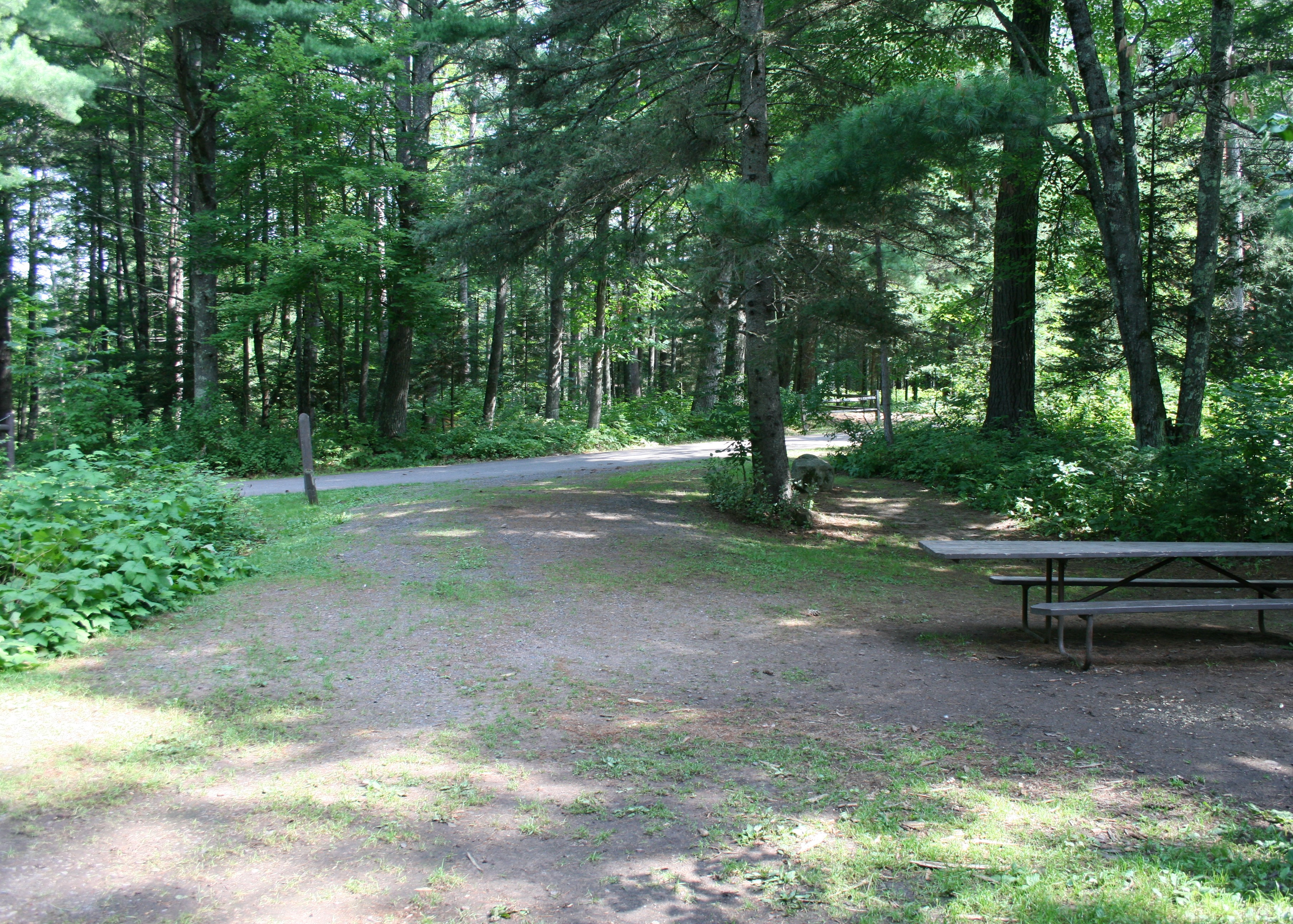 Site 36, photo 2 of 2 · from wisconsin.goingtocamp.com (the park's booking system)