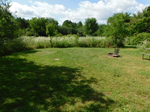 Site B, photo 2 of 2 · from wisconsin.goingtocamp.com (the park's booking system)