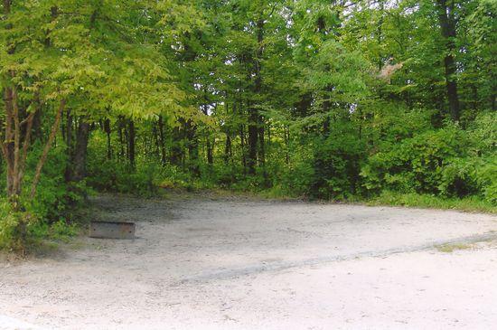 Site 277, photo 2 of 2 · from wisconsin.goingtocamp.com (the park's booking system)