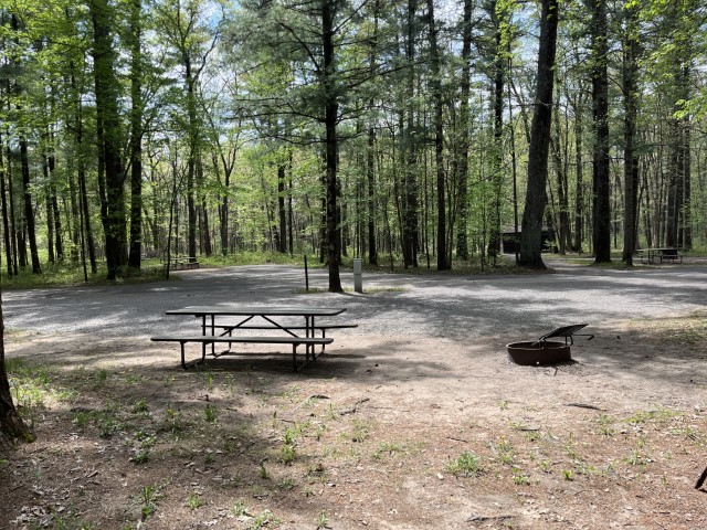 Site 18, photo 3 of 3 · from wisconsin.goingtocamp.com (the park's booking system)