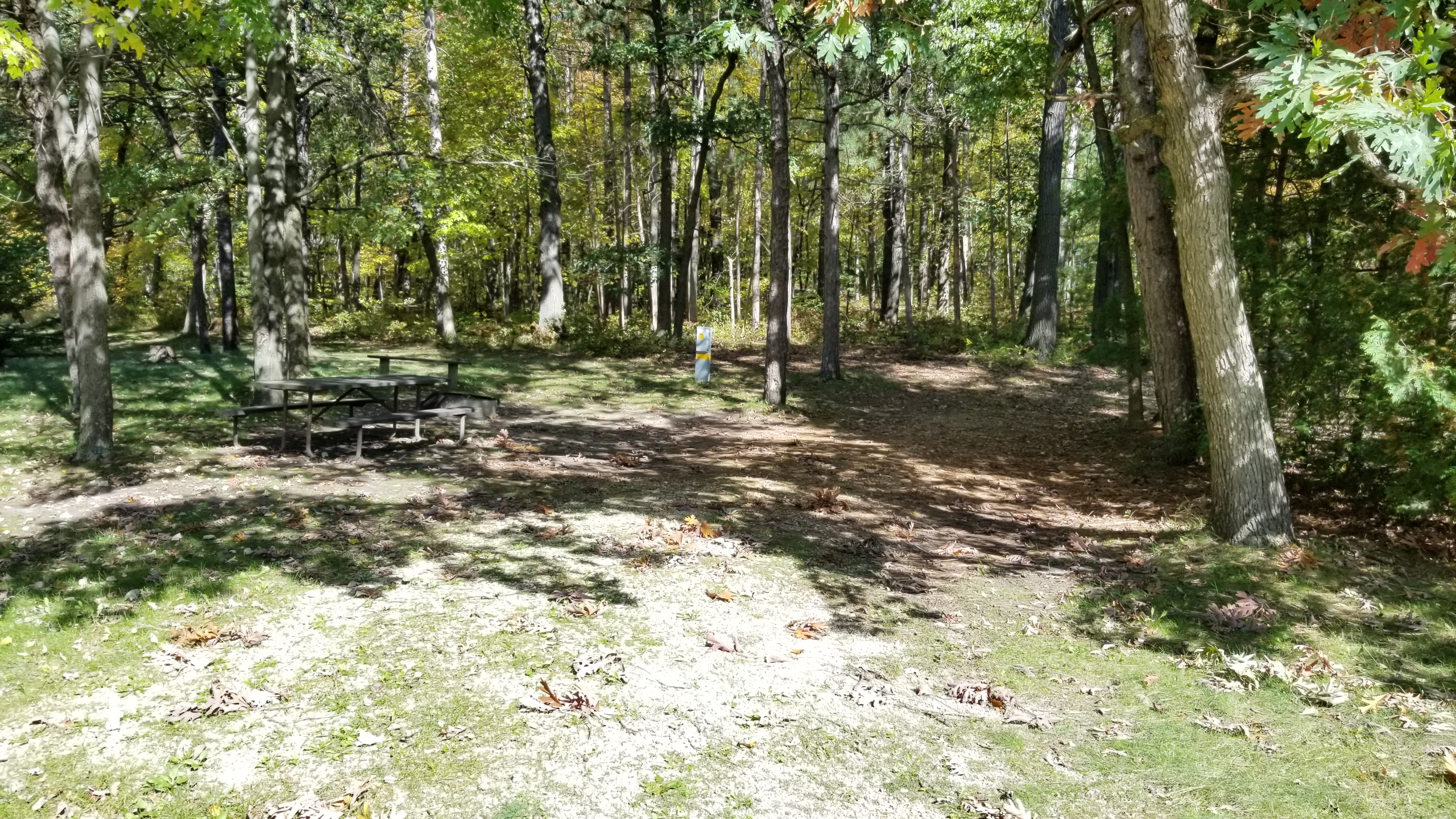 Site 20, photo 2 of 4 · from wisconsin.goingtocamp.com (the park's booking system)