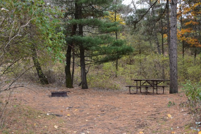 Site 42, photo 2 of 2 · from wisconsin.goingtocamp.com (the park's booking system)