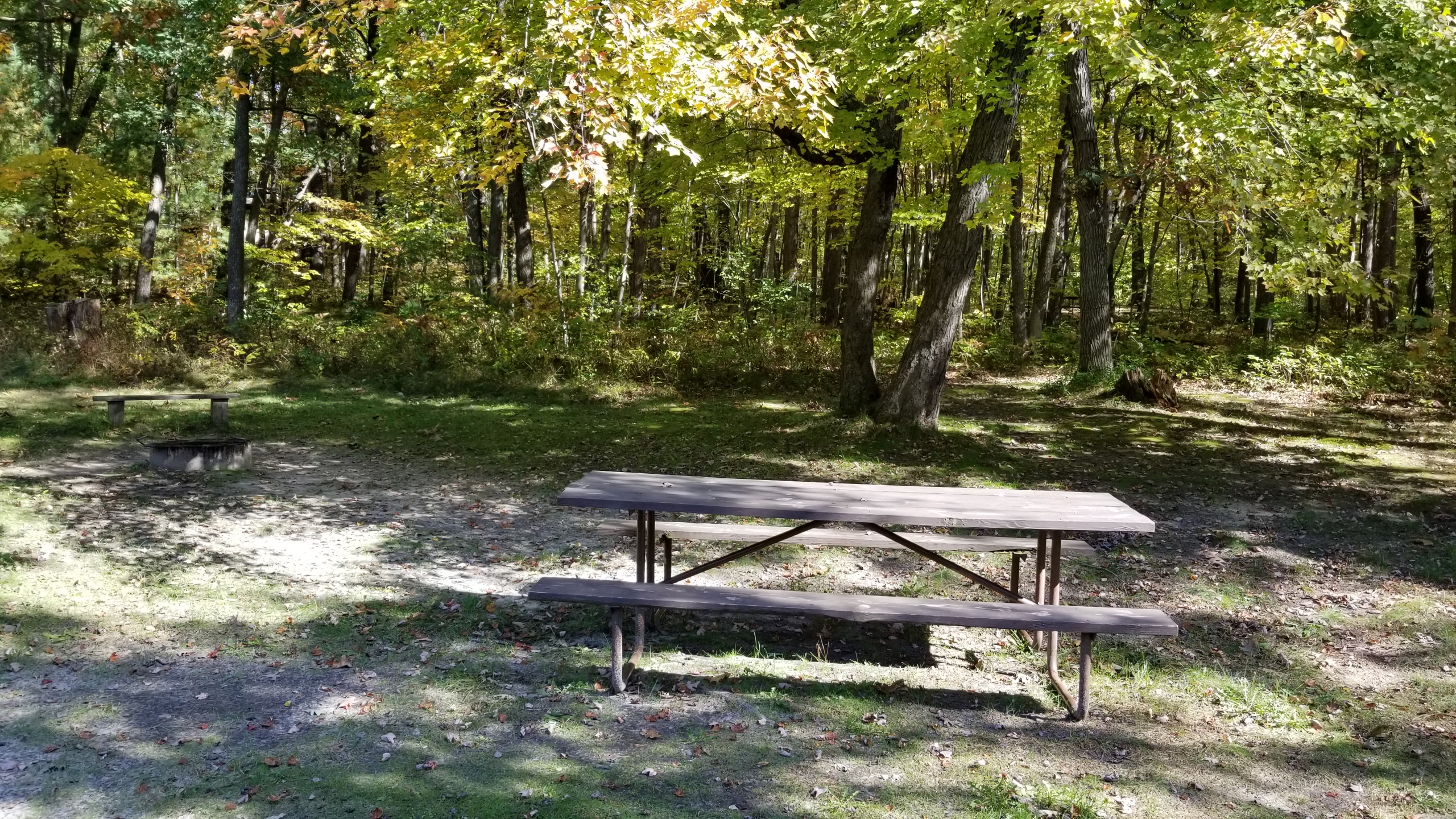 Site 19, photo 3 of 4 · from wisconsin.goingtocamp.com (the park's booking system)