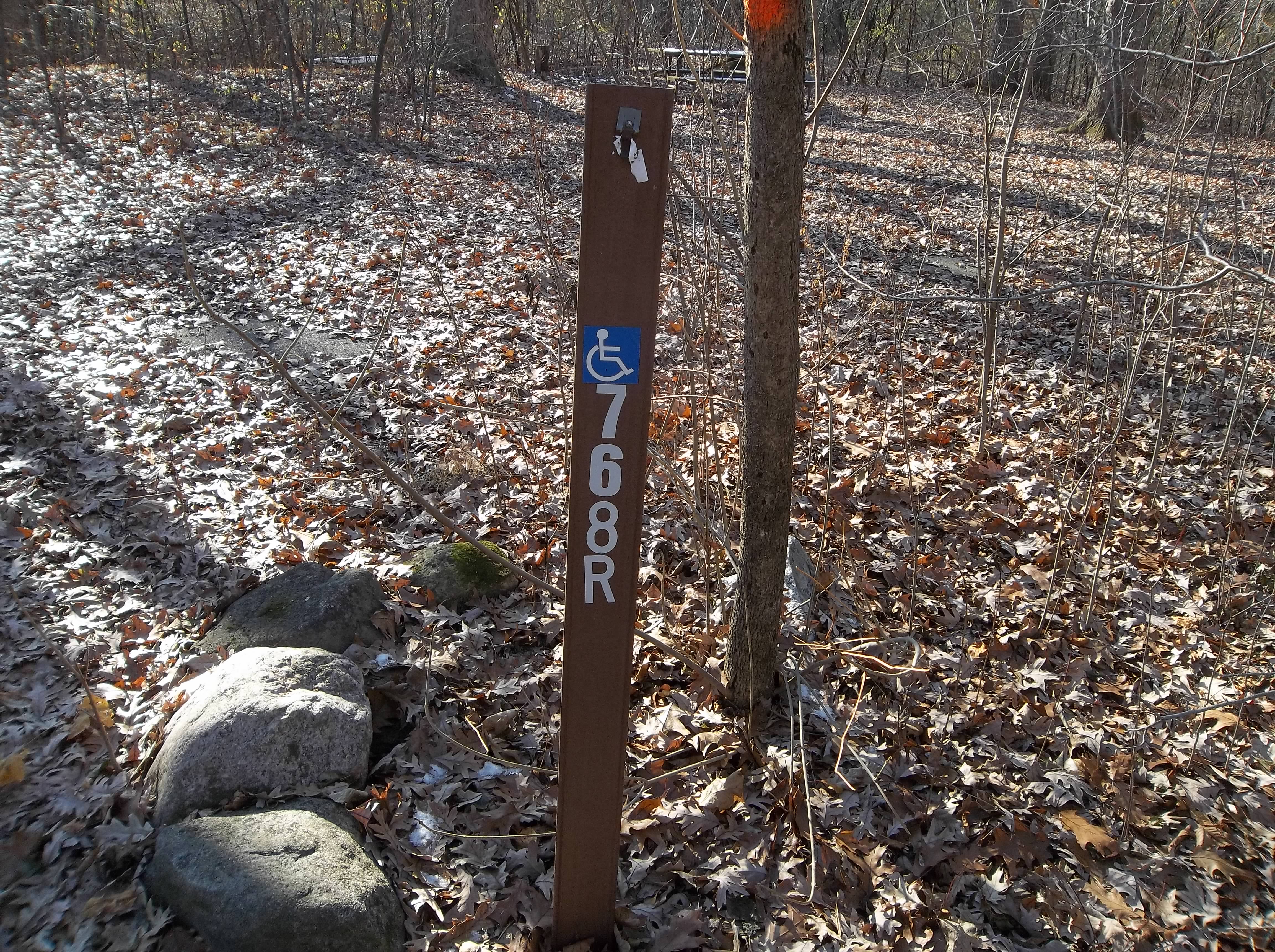Site 768, photo 2 of 5 · from wisconsin.goingtocamp.com (the park's booking system)