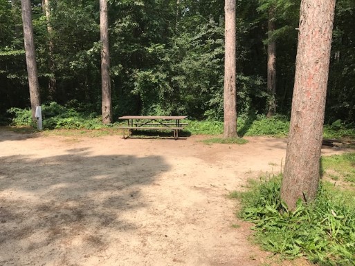 Site 72, photo 3 of 3 · from wisconsin.goingtocamp.com (the park's booking system)