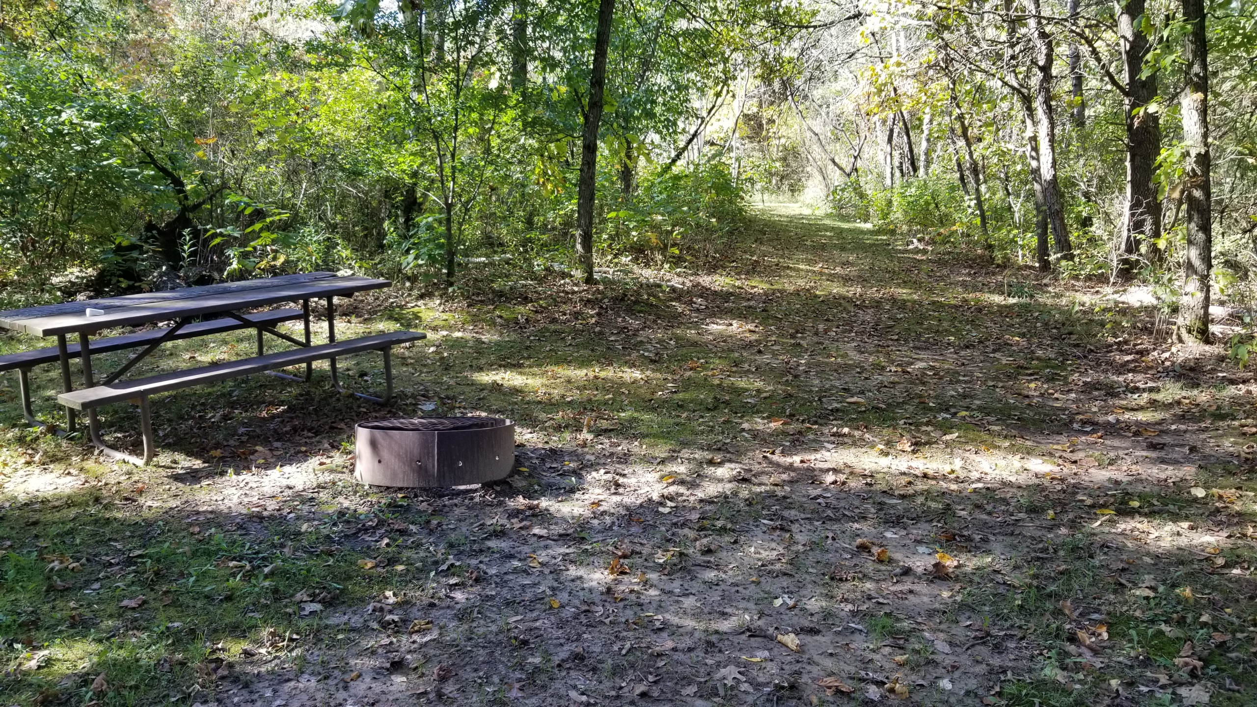 Site 4, photo 2 of 2 · from wisconsin.goingtocamp.com (the park's booking system)
