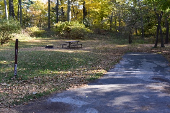Site 71, photo 2 of 2 · from wisconsin.goingtocamp.com (the park's booking system)