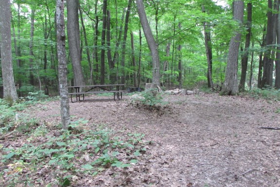 Site 9, photo 2 of 4 · from wisconsin.goingtocamp.com (the park's booking system)