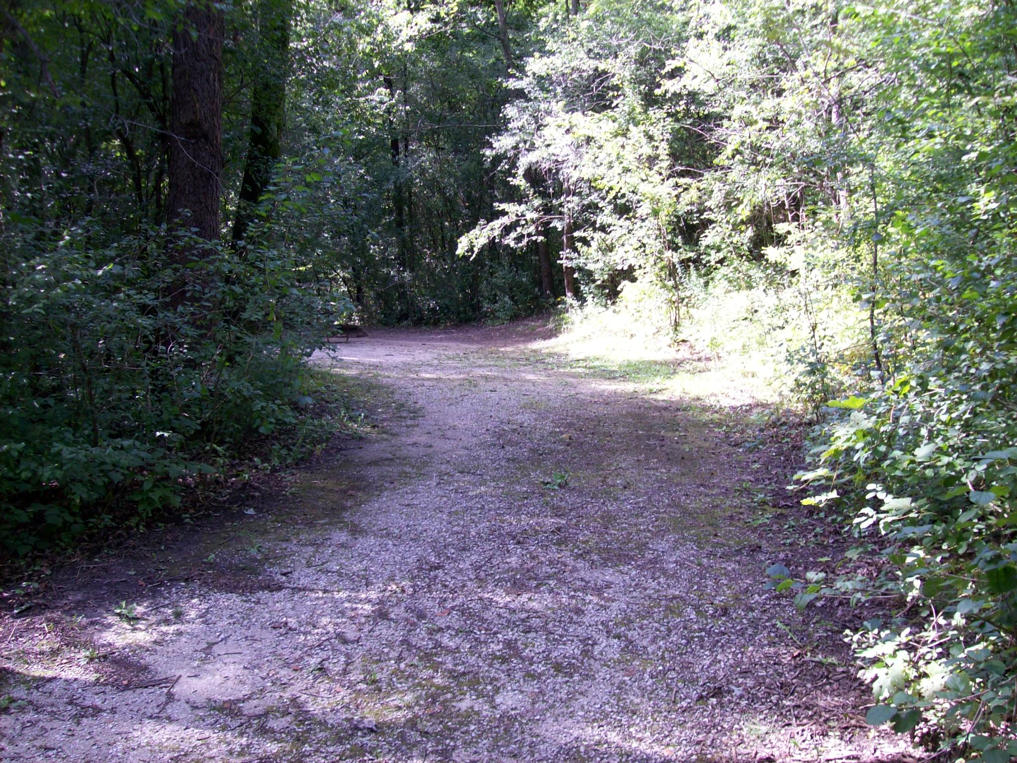 Site 161, photo 2 of 3 · from wisconsin.goingtocamp.com (the park's booking system)