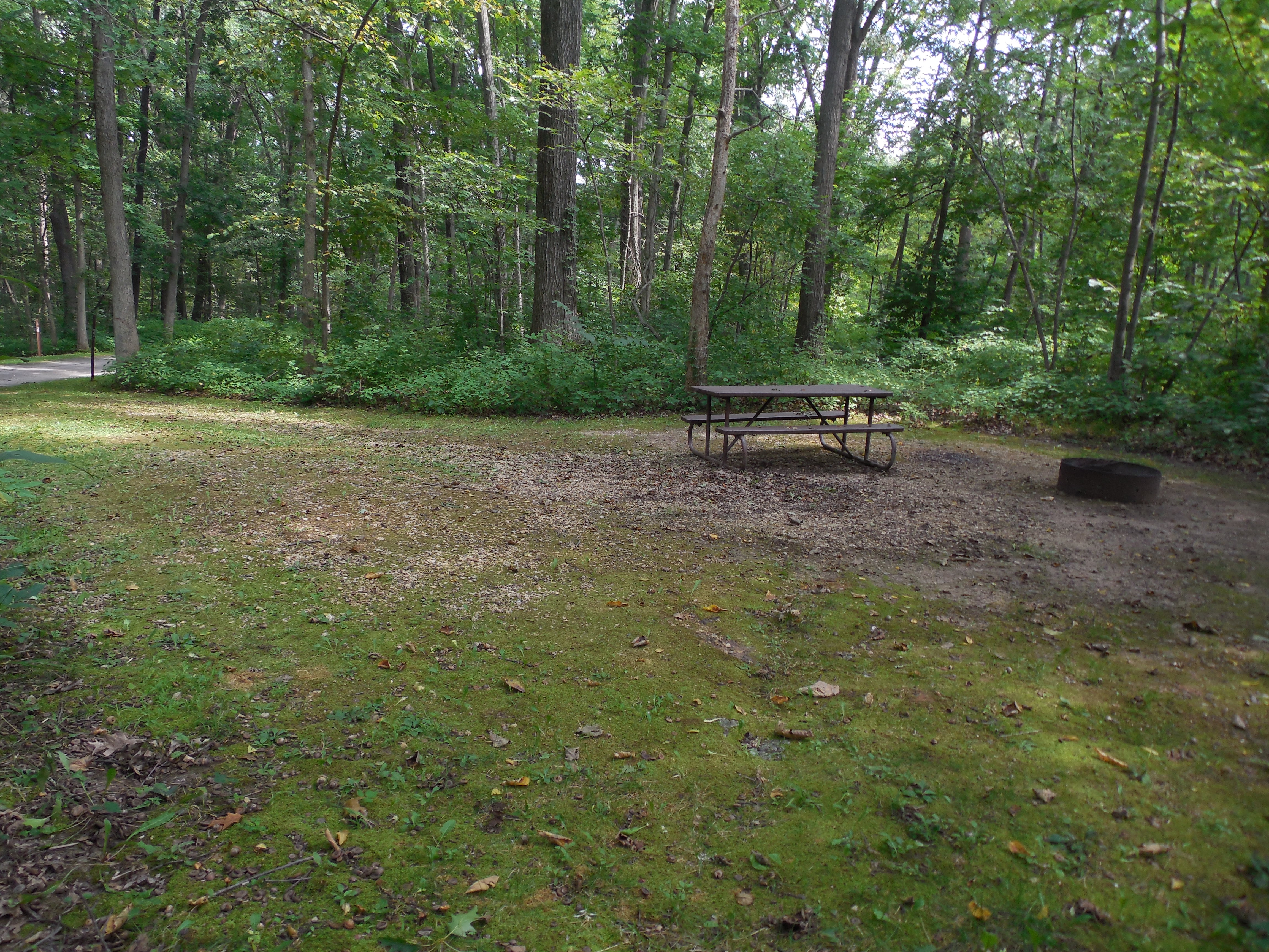 Site 37, photo 3 of 3 · from wisconsin.goingtocamp.com (the park's booking system)