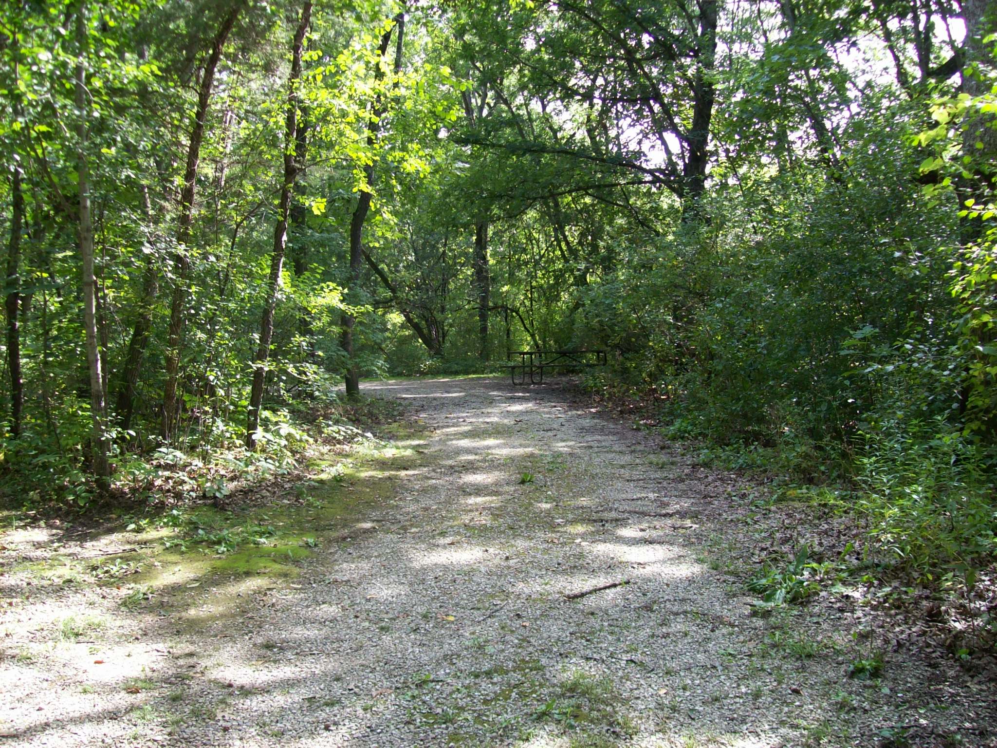 Site 163, photo 2 of 3 · from wisconsin.goingtocamp.com (the park's booking system)