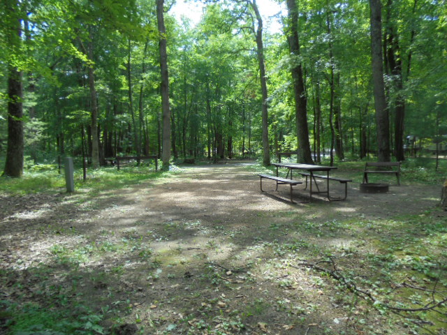 Site 15, photo 3 of 4 · from wisconsin.goingtocamp.com (the park's booking system)