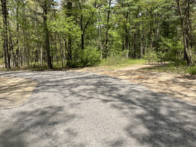 Site 11, photo 2 of 3 · from wisconsin.goingtocamp.com (the park's booking system)