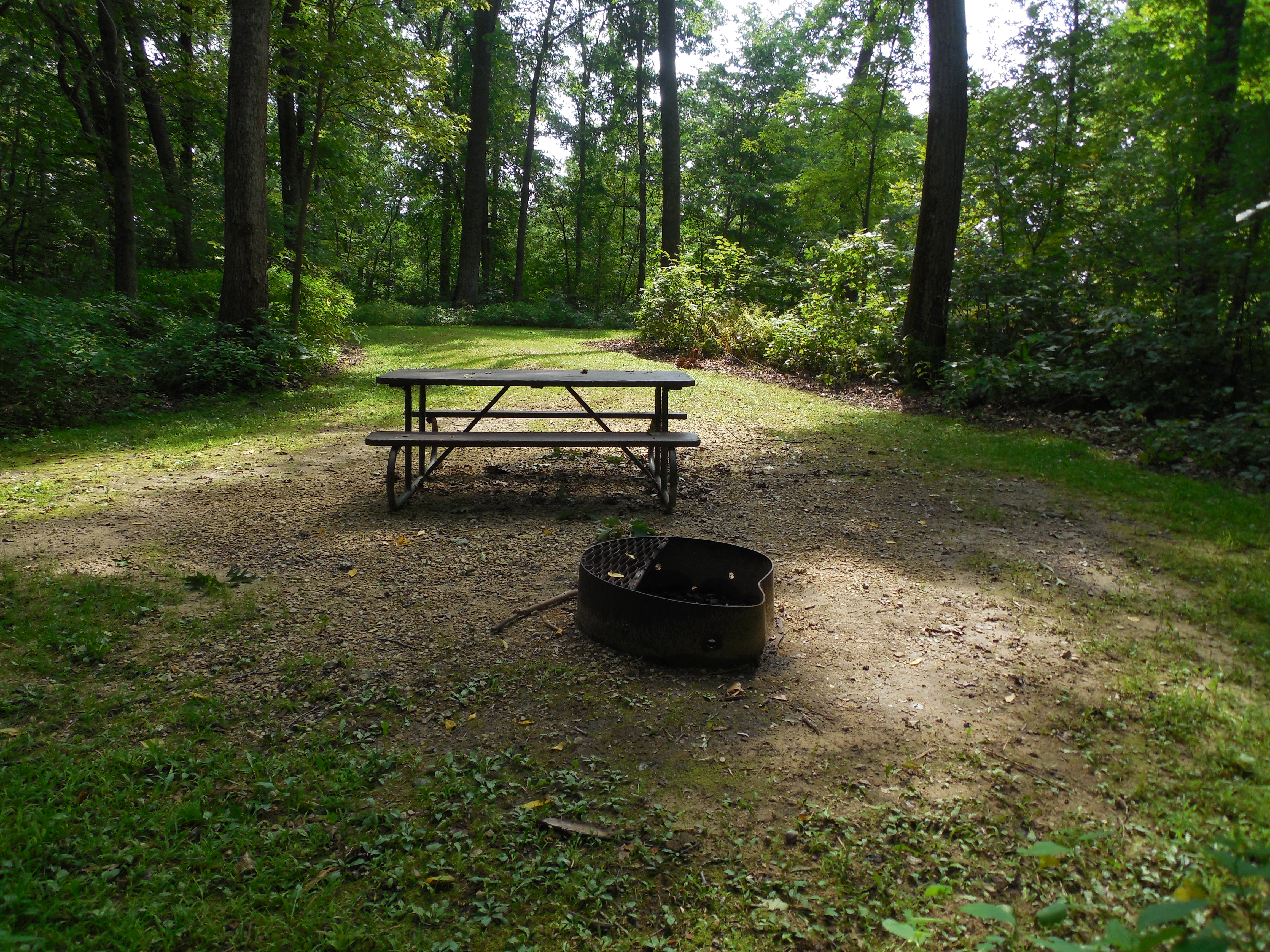 Site 36, photo 3 of 3 · from wisconsin.goingtocamp.com (the park's booking system)