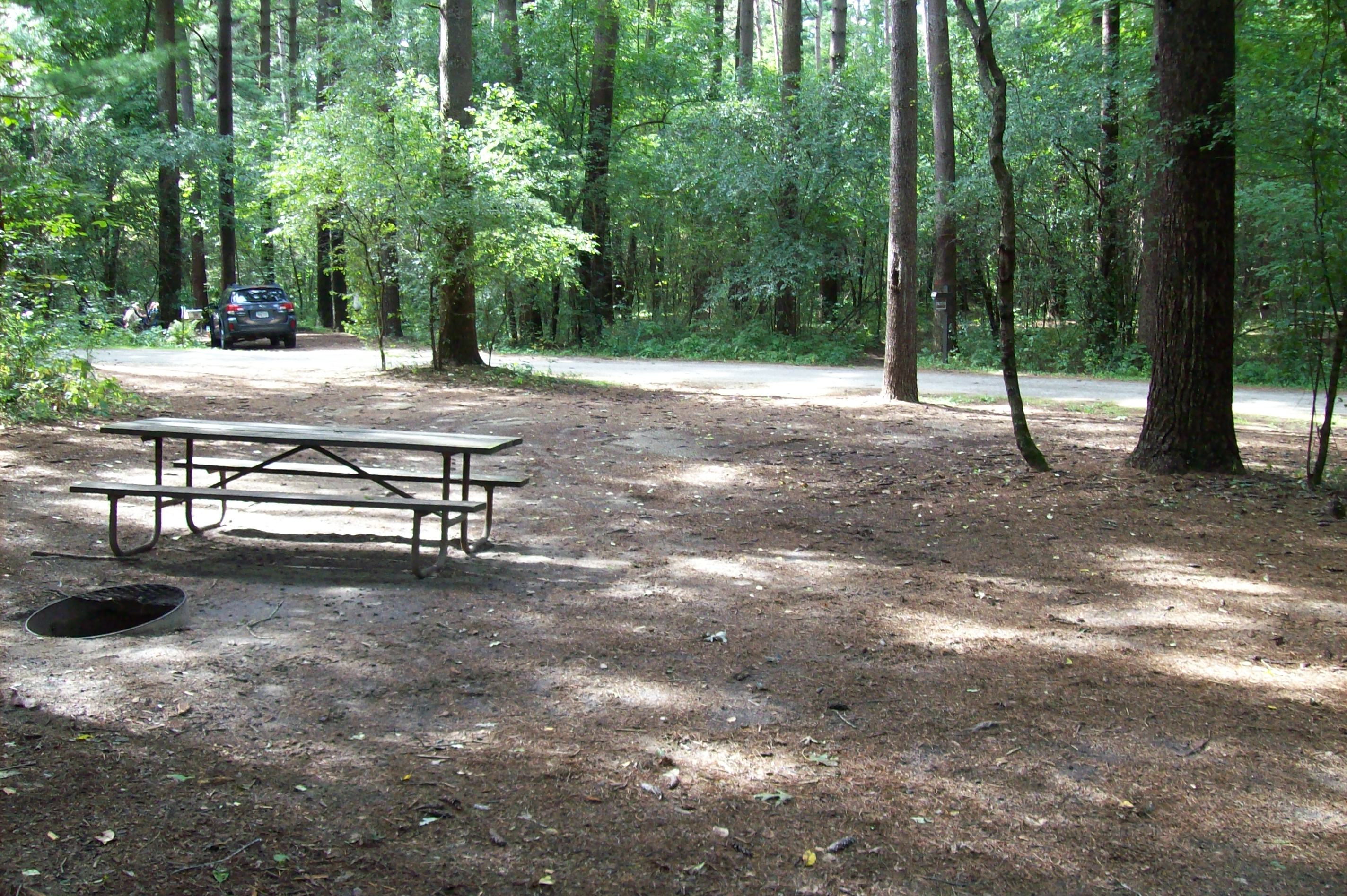 Site 293, photo 3 of 3 · from wisconsin.goingtocamp.com (the park's booking system)