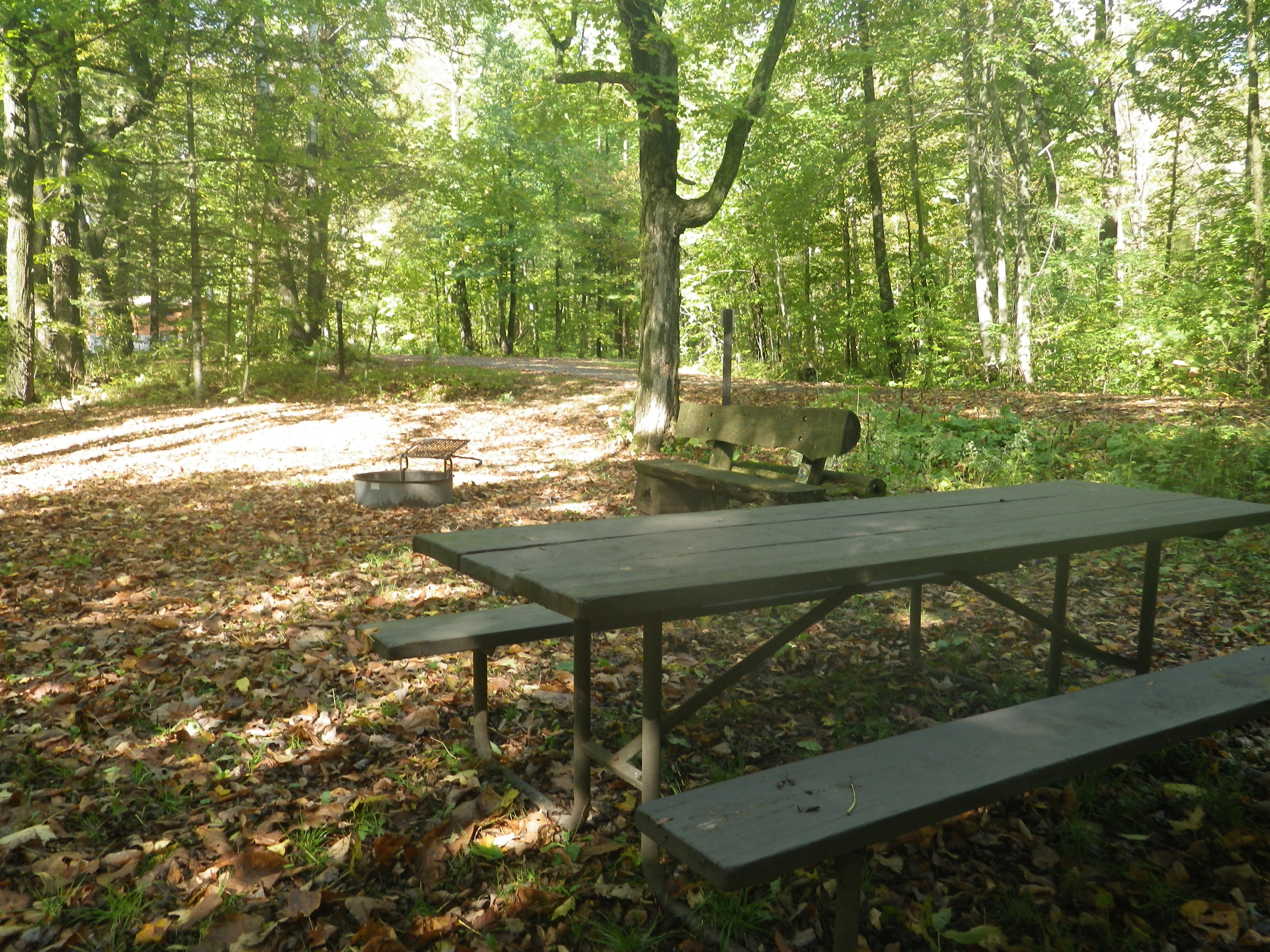 Site 102, photo 3 of 3 · from wisconsin.goingtocamp.com (the park's booking system)