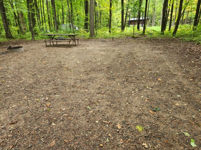 Site 34, photo 3 of 3 · from wisconsin.goingtocamp.com (the park's booking system)