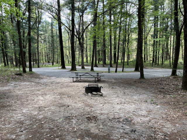 Site 16, photo 3 of 3 · from wisconsin.goingtocamp.com (the park's booking system)