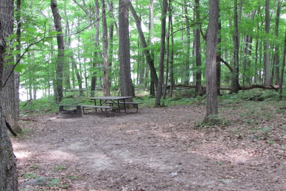Site 10, photo 3 of 4 · from wisconsin.goingtocamp.com (the park's booking system)