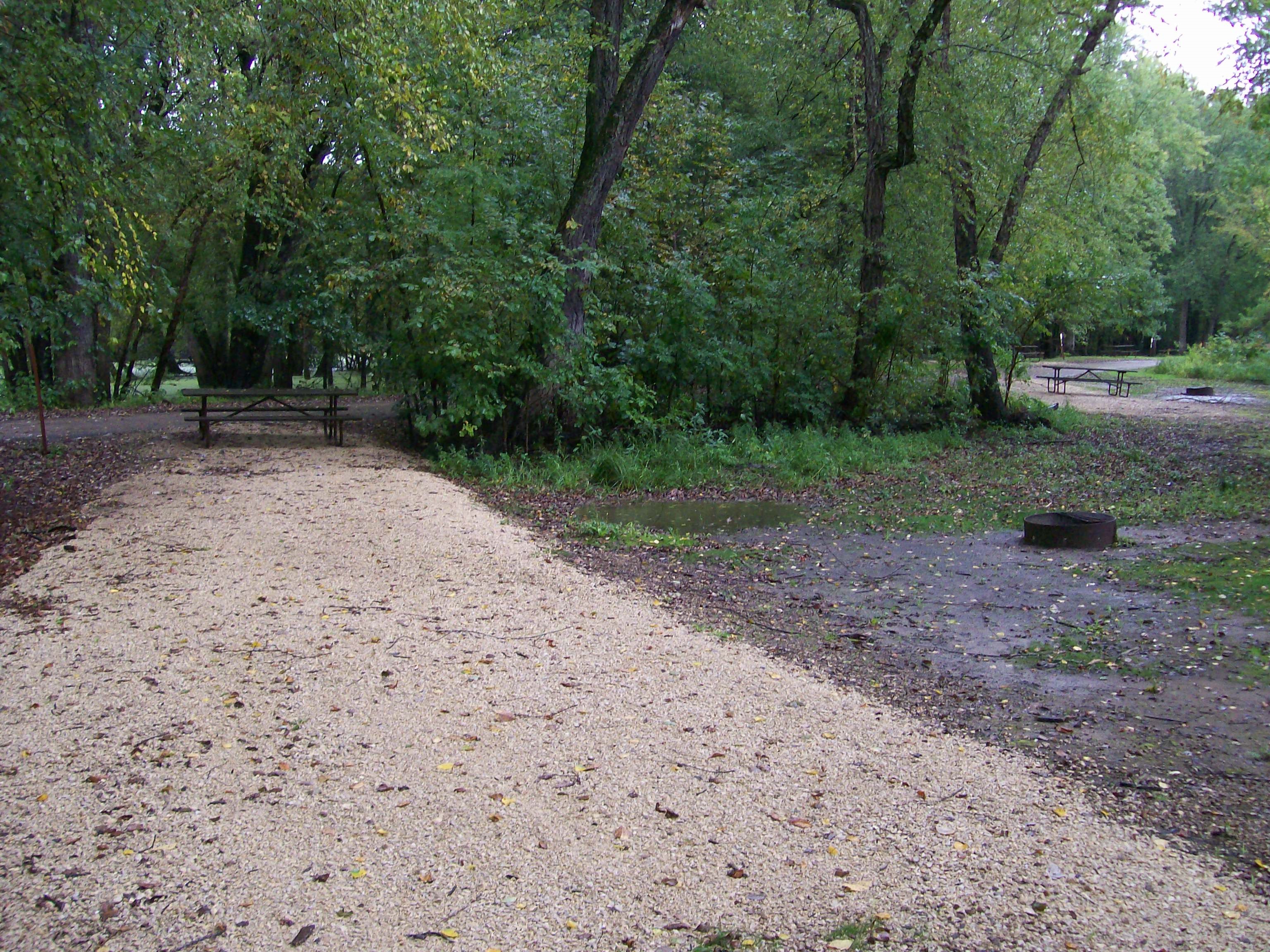Site 55, photo 3 of 3 · from wisconsin.goingtocamp.com (the park's booking system)