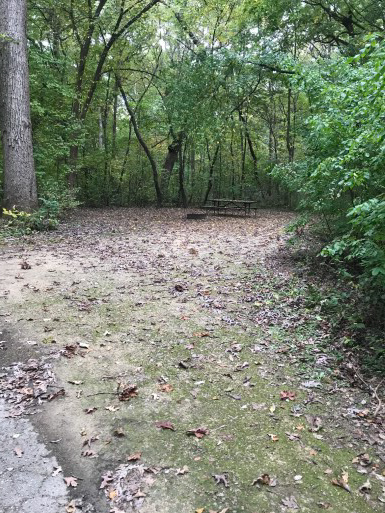 Site 23, photo 3 of 3 · from wisconsin.goingtocamp.com (the park's booking system)