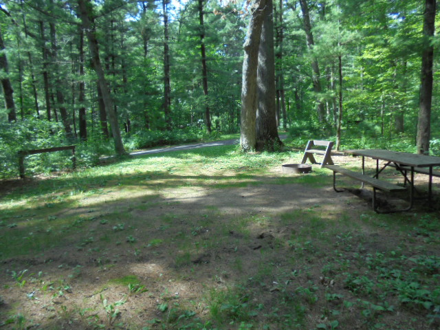 Site 3, photo 2 of 3 · from wisconsin.goingtocamp.com (the park's booking system)